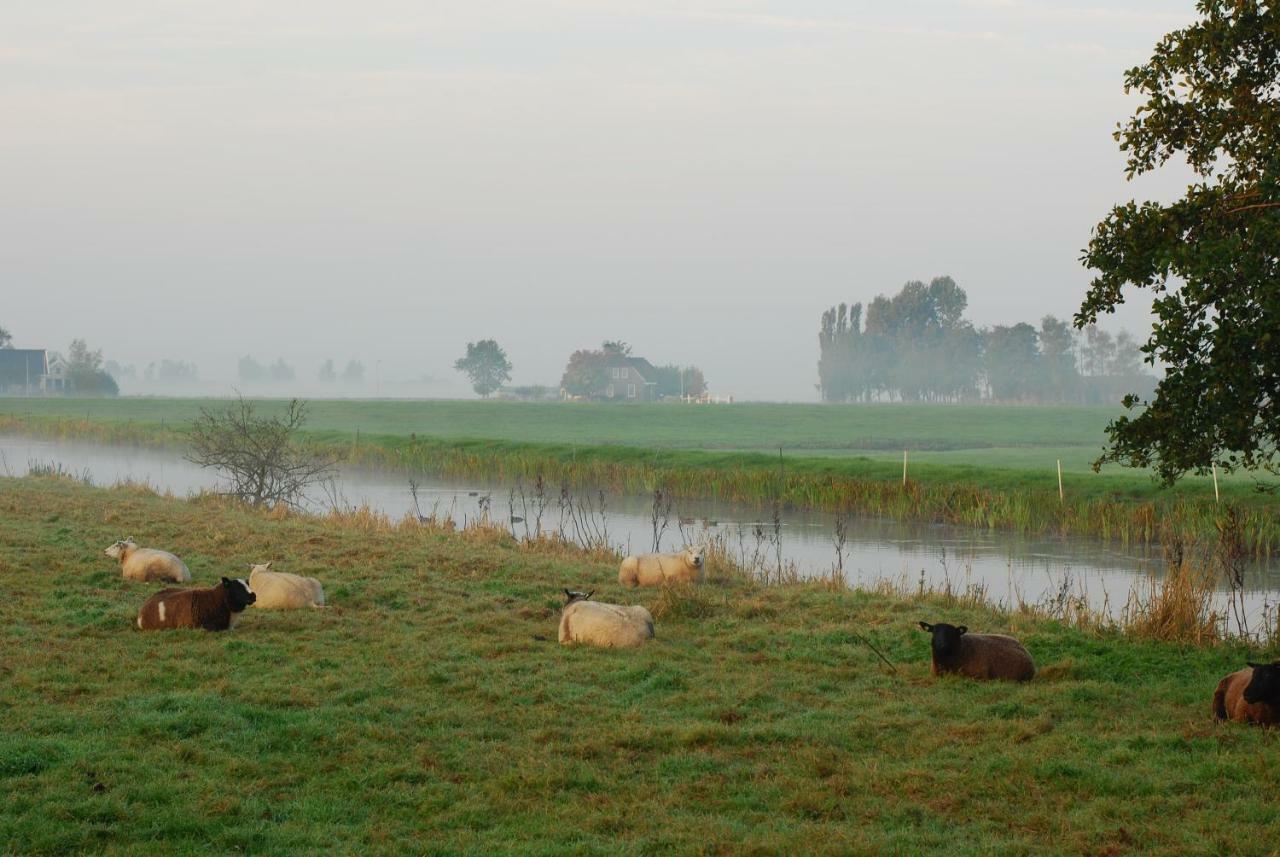 Dobberhuisje Holiday home *